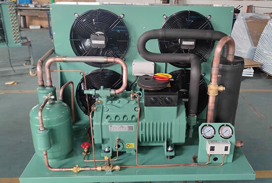 Bitzer Condensing Unit